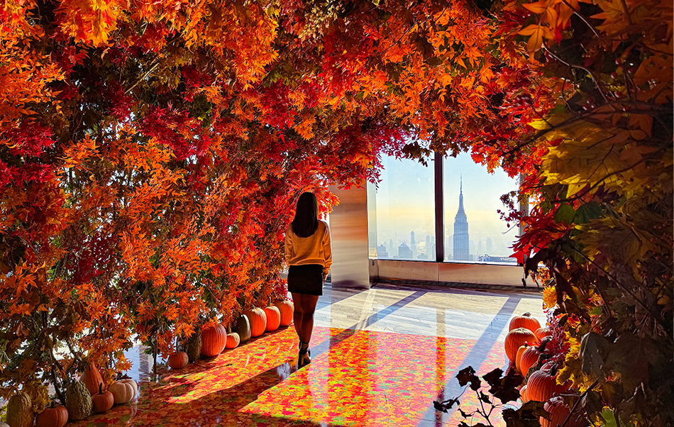 Autumn in New York City